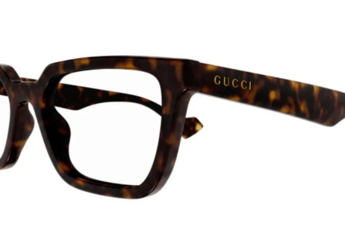 Gucci Frame GG 1539O 002