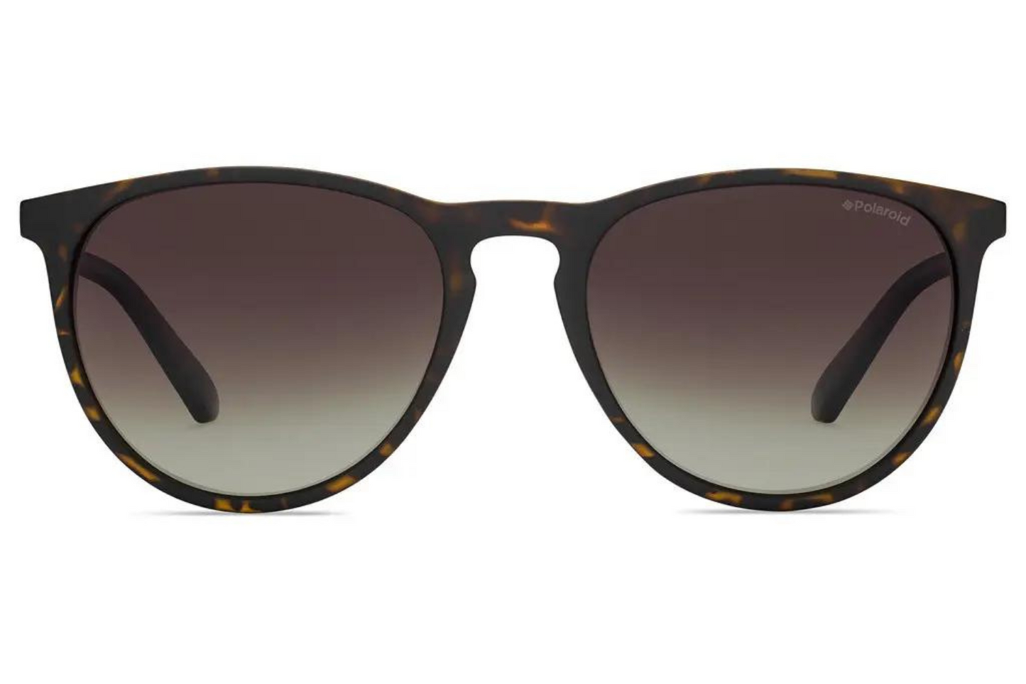 Polaroid Sunglasses PLD 6003 V08LA