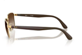 Ray-Ban Sunglass RB3759I (Pre_Booking)