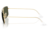 Ray-Ban Sunglass RB3779 (Pre_Booking)