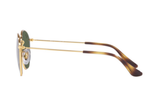 Ray-Ban Sunglass RJ9572S (Pre_Booking)