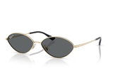Ray-Ban Sunglass RB3757 (Pre_Booking)