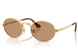 Ray-Ban Sunglass RB3931 (Pre_Booking)