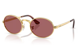 Ray-Ban Sunglass RB3931 (Pre_Booking)