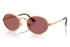 Ray-Ban Sunglass RB3931 (Pre_Booking)