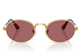 Ray-Ban Sunglass RB3931 (Pre_Booking)