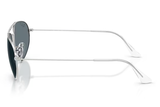 Ray-Ban Sunglass RB3945( Pre_Booking)