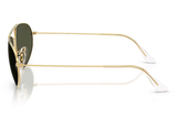 Ray-Ban Sunglass RB3945( Pre_Booking)