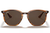 Ray-Ban Sunglass RB4306 ( Pre_Booking)