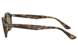 RAY-BAN Sunglasses RB4315