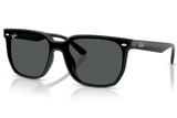 Ray-Ban Sunglass RB4466D (Pre_Booking)