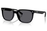Ray-Ban Sunglass RB4466D (Pre_Booking)