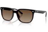 Ray-Ban Sunglass RB4466D (Pre_Booking)