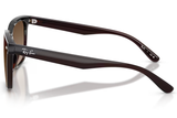 Ray-Ban Sunglass RB4466D (Pre_Booking)