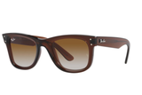Ray-Ban Sunglass RBR0502S (Pre_Booking)
