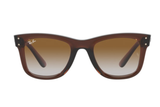 Ray-Ban Sunglass RBR0502S (Pre_Booking)