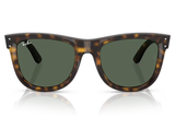 Ray-Ban Sunglass RBR0502S (Pre_Booking)