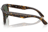 Ray-Ban Sunglass RBR0502S (Pre_Booking)