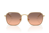 Ray-Ban Sunglass RJ9594S (Pre_Booking)