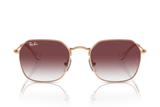 Ray-Ban Sunglass RJ9594S (Pre_Booking)