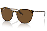 Ray-Ban Sunglass RB2204 (Pre_Booking)