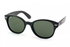 Ray-Ban Sunglass RB4141 (Pre_Booking)