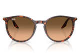 Ray-Ban Sunglass RB2204 (Pre_Booking)
