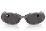 Ray-Ban Sunglass RB4441D (Pre_Booking)