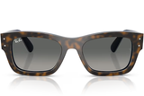 Ray-Ban Sunglass RB7683S (Pre_Booking)