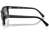 Ray-Ban Sunglass RB2224 (Pre_Booking)