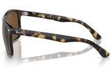 Ray-Ban Sunglass RB4547 (Pre_Booking)