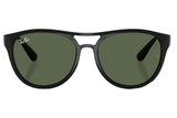 RAY-BAN Sunglasses RB4170