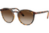 Vogue Sunglass VO5544SI