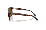 Ray-Ban Sunglass RB2213 (Pre_Booking)