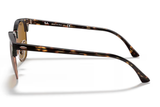 Ray-Ban Sunglass CLUBMASTER RB3016 (Pre_Booking)