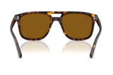 Ray-Ban Sunglass RB2213 (Pre_Booking)