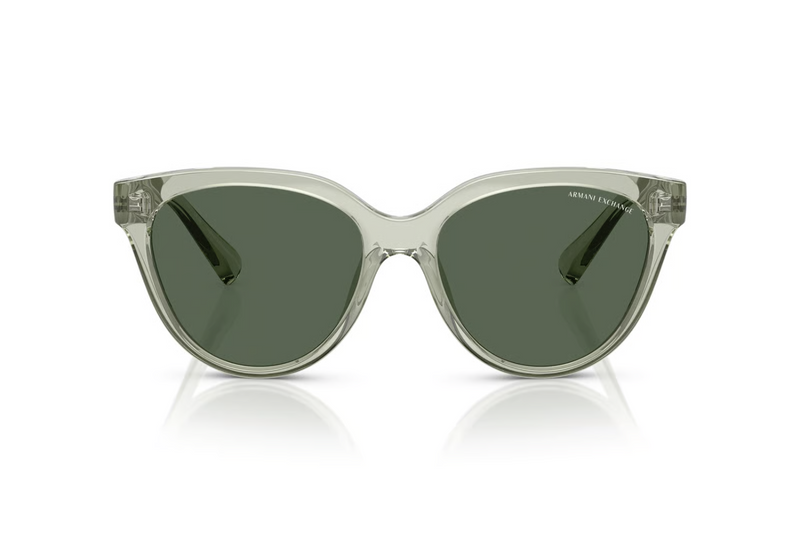 Armani Exchange Sunglasses AX4148SU