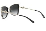 Michal Kors Sunglasses MK1067B