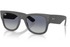 Ray-Ban Sunglass RB4840S (Pre_Booking)