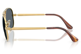 RAY-BAN Sunglasses RB3925