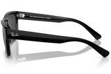 Ray-Ban Sunglass RB4396 (Pre_Booking)