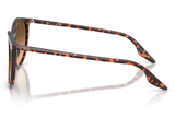Ray-Ban Sunglass RB2204 (Pre_Booking)
