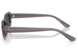 Ray-Ban Sunglass RB4441D (Pre_Booking)