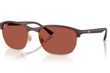 Ray-Ban Sunglass RB4469 (Pre_Booking)