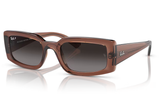 Ray-Ban Sunglass RB4395 (Pre_Booking)