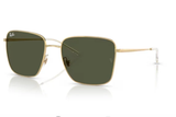 Ray-Ban Sunglass RB3752I (Pre_Booking)