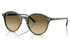 Ray-Ban Sunglass RB2230 (Pre_Booking)