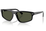 Ray-Ban Sunglass RB2225 (Pre_Booking)