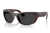 Ray-Ban Sunglass RB2289 (Pre_Booking)