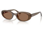 Ray-Ban Sunglass RB4441D (Pre_Booking)